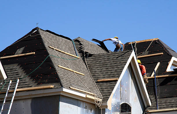 Best Roof Moss and Algae Removal  in Richardson, TX